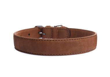 Brown leather dog collar isolated on white