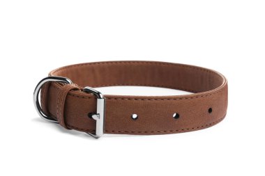 Brown leather dog collar isolated on white