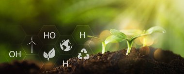 Illustration of chemical formula and young seedling growing in soil outdoors, closeup. Banner design