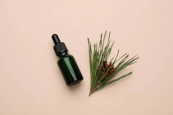 Glass Bottle Essential Oil Pine Branch Cone Pink Background Flat — 스톡 사진