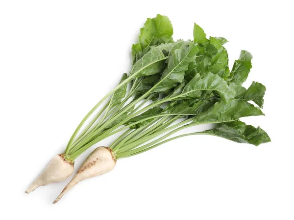 Sugar Beets Leaves White Background Top View — Stock Photo, Image