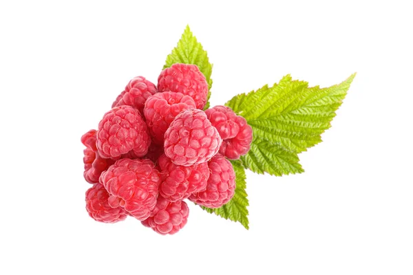 Fresh Red Ripe Raspberries Green Leaves Isolated White Top View — Foto de Stock