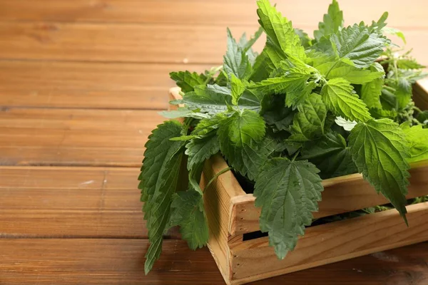 Fresh Stinging Nettle Leaves Crate Wooden Table Closeup Space Text — Photo