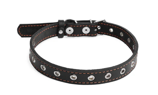Black Leather Dog Collar Isolated White — Stockfoto