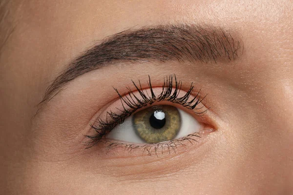 Young woman with permanent eyebrow makeup, closeup