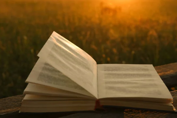 Open Book Wooden Bench Field Sunset Closeup — Stock Fotó