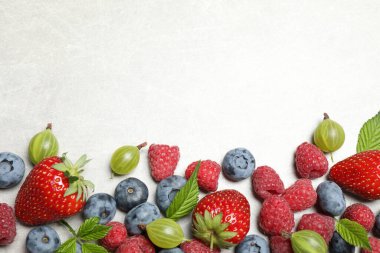 Işık masasında taze böğürtlen karışımı, düz uzanmış. Metin için boşluk