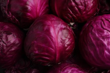 Many fresh ripe red cabbages as background