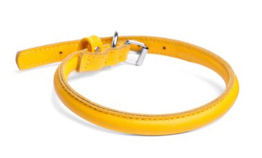 Yellow leather dog collar isolated on white