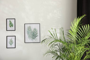 Beyaz duvardaki güzel resimler. İç tasarım için fikir