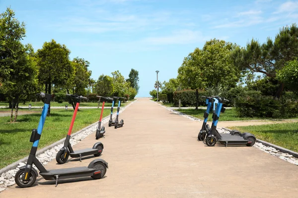 Many Modern Electric Scooters Park Rental Service — Foto Stock