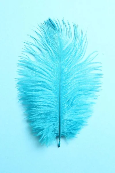 Beautiful Delicate Feather Light Blue Background Top View — Foto Stock