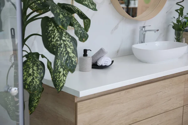 Stylish Vessel Sink Houseplants Bathroom Interior Design Elements — Stock Photo, Image