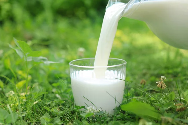 Pouring Tasty Fresh Milk Jug Glass Green Grass Outdoors Closeup — ストック写真