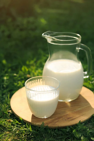 Кувшин Стакан Вкусного Свежего Молока Зеленой Траве Открытом Воздухе — стоковое фото
