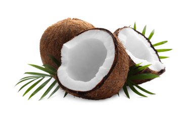 Fresh ripe coconuts with green leaves on white background