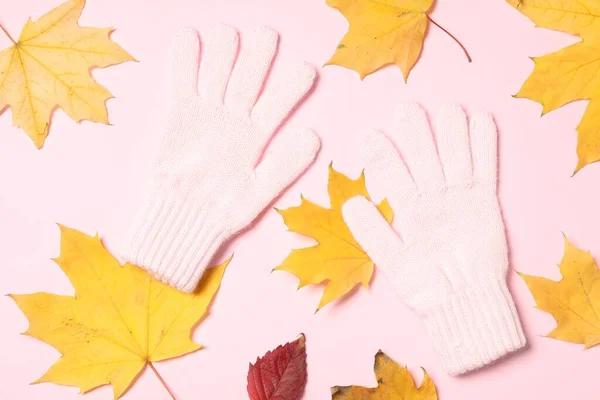 Stylish Woolen Gloves Dry Leaves Pink Background Flat Lay — Photo