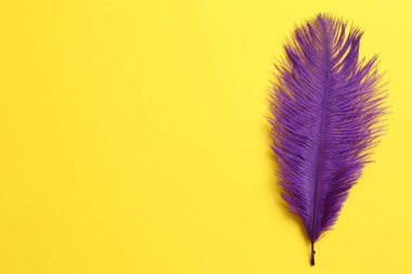 Beautiful violet feather on yellow background, top view. Space for text