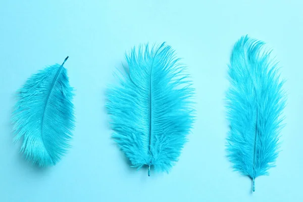 Beautiful Delicate Feathers Light Blue Background Flat Lay — Fotografia de Stock