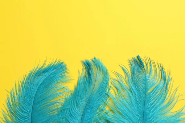 Beautiful Light Blue Feathers Yellow Background Top View Space Text — Foto Stock