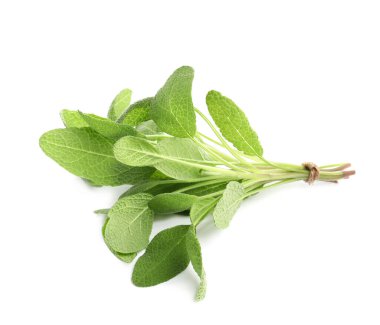 Bunch of aromatic fresh sage leaves on white background