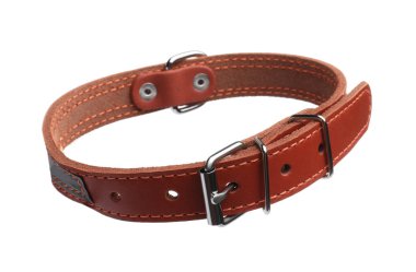Brown leather dog collar isolated on white