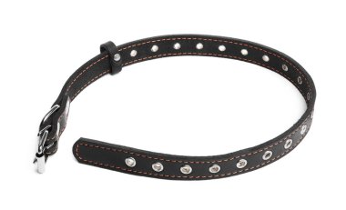 Black leather dog collar isolated on white