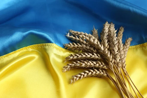 Вуха Пшениці Національному Прапорі України Місце Тексту — стокове фото