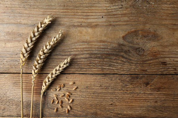 Уши пшеницы на деревянном столе, плоские. Пространство для текста