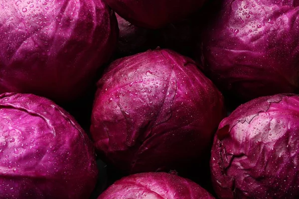 Many Fresh Ripe Red Cabbages Background — ストック写真