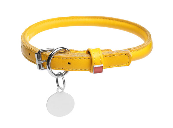 Yellow leather dog collar with tag isolated on white