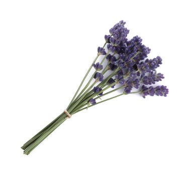 Bunch of aromatic lavender flowers on white background, top view