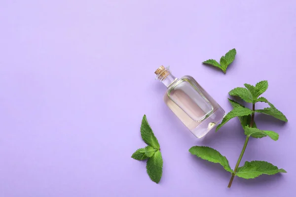 Bottle Essential Oil Mint Violet Background Flat Lay Space Text — Fotografia de Stock