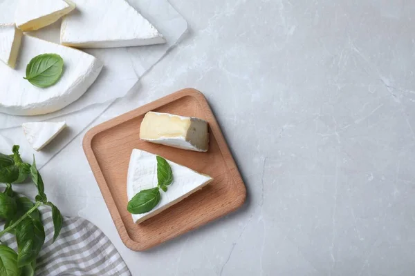 Delicious Brie Cheese Basil Light Grey Table Flat Lay Space — Fotografia de Stock