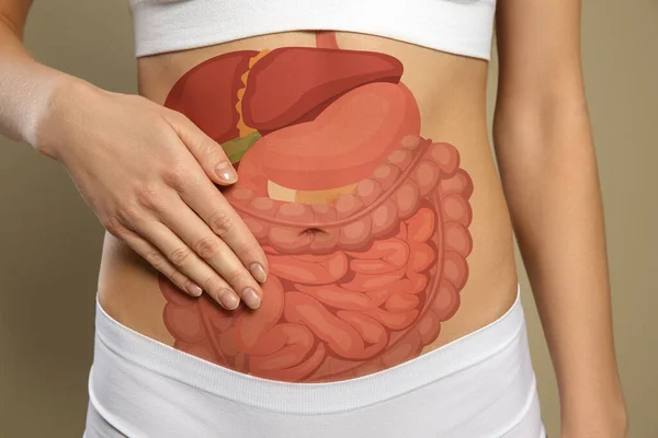 Closeup View Woman Illustration Abdominal Organs Her Belly Beige Background — Stok fotoğraf