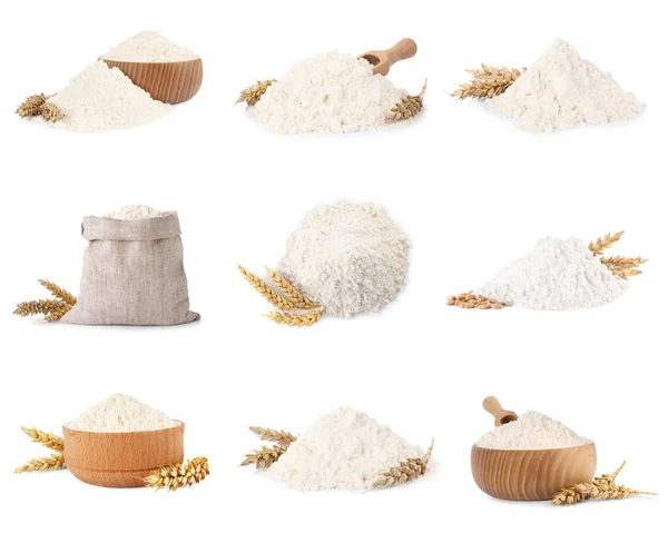 Set Wheat Flour White Background — Foto de Stock