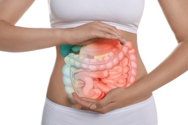 Closeup view of woman with illustration of abdominal organs on her belly against white background