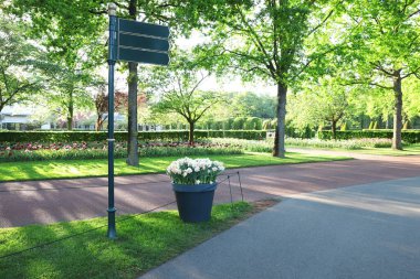 Park with variety of beautiful flowers and guide sign on sunny day. Spring season