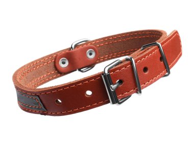 Brown leather dog collar isolated on white