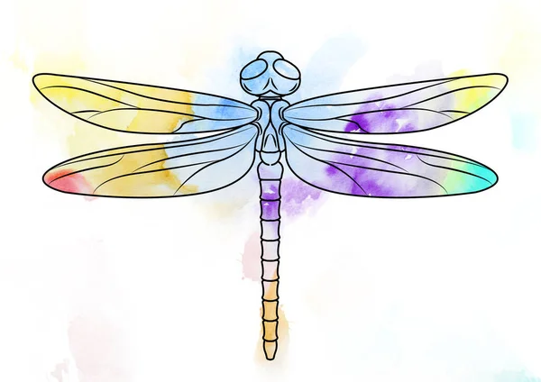 Silhouette Dragonfly Watercolor Paint White Background — Zdjęcie stockowe