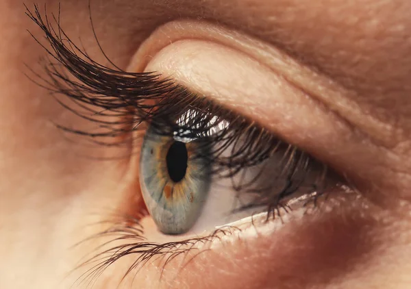 Closeup Άποψη Της Γυναίκας Όμορφο Μάτι — Φωτογραφία Αρχείου