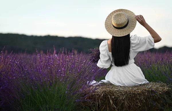 Woman Sitting Hay Bale Lavender Field Back View — Photo