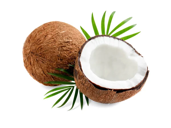 Fresh Ripe Coconuts Green Leaves White Background — Photo