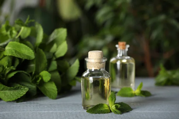 Bottles Mint Essential Oil Green Leaves Grey Wooden Table — Zdjęcie stockowe