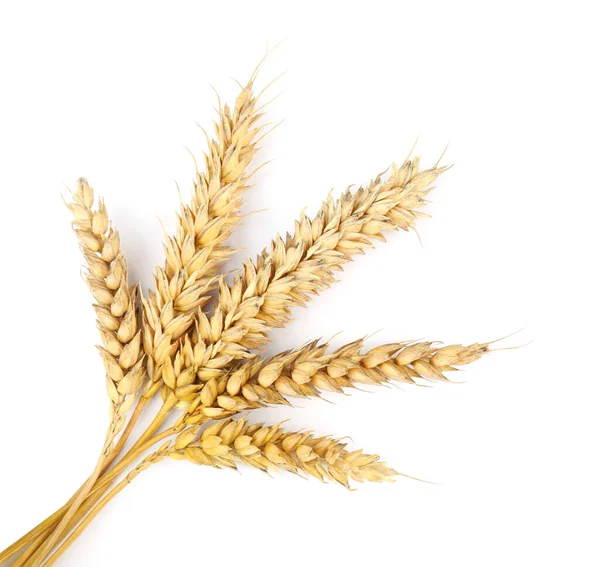 Dried Ears Wheat White Background Top View — Stock Photo, Image