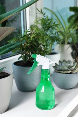 Different beautiful houseplants and spray bottle with water on window sill indoors