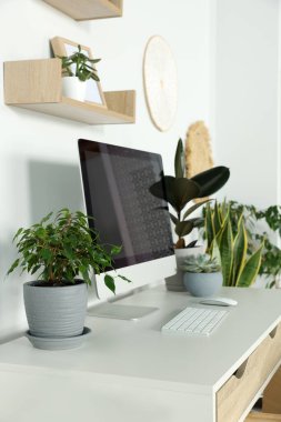 Comfortable workplace with modern computer and different houseplants in room