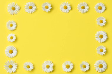 Frame of daisy flowers on yellow background, flat lay. Space for text