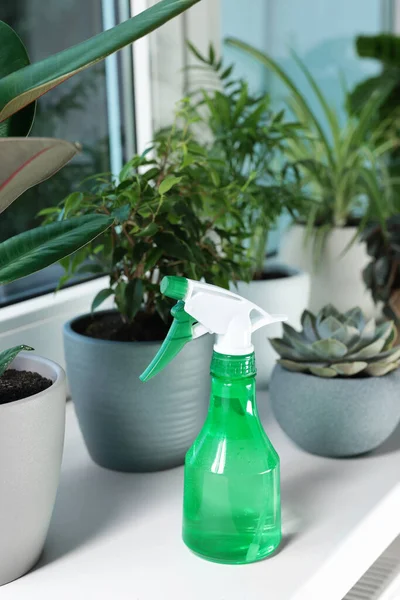 Different beautiful houseplants and spray bottle with water on window sill indoors