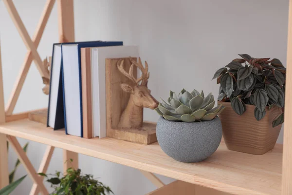 Beautiful Houseplants Books Wooden Shelving Unit Light Wall — Stock Photo, Image